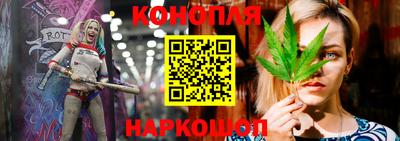 гашик Обнинск