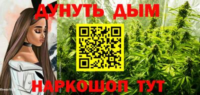 гашик Обнинск